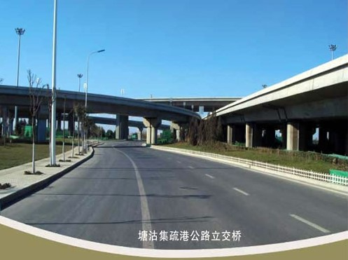石狮案例展示